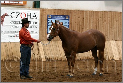 QH061_0162n.jpg (41,6 KB)