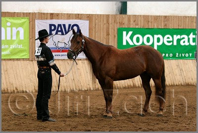 QH061_0163n.jpg (40,0 KB)