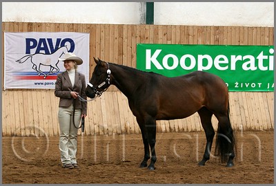 QH061_0164n.jpg (42,2 KB)