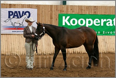 QH061_0165n.jpg (43,4 KB)