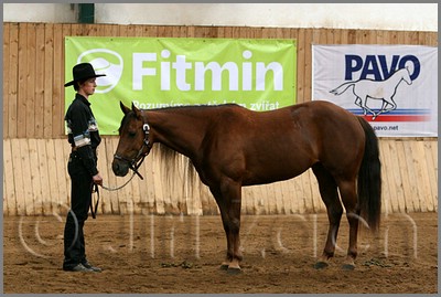 QH061_0166n.jpg (40,6 KB)