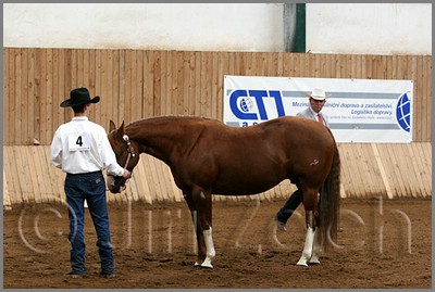 QH061_0167n.jpg (38,1 KB)
