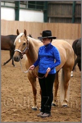 QH061_0169n.jpg (37,5 KB)