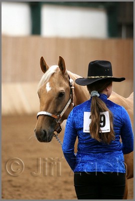 QH061_0171n.jpg (28,7 KB)