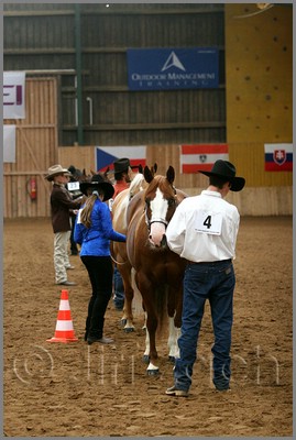 QH061_0172n.jpg (38,2 KB)