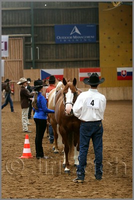 QH061_0173n.jpg (38,3 KB)