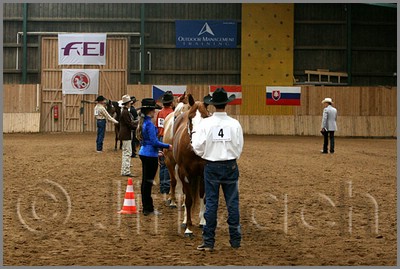 QH061_0174n.jpg (42,1 KB)