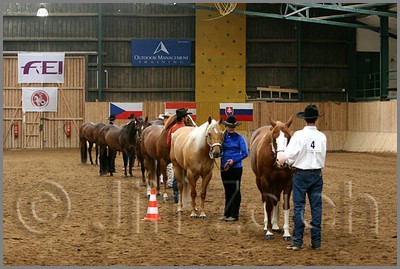 QH061_0176n.jpg (43,3 KB)