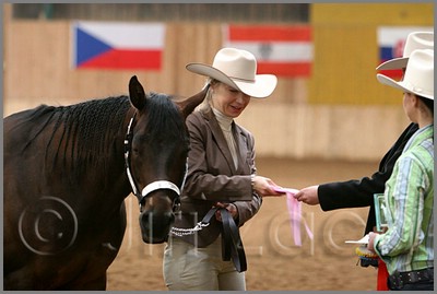 QH061_0178n.jpg (31,4 KB)
