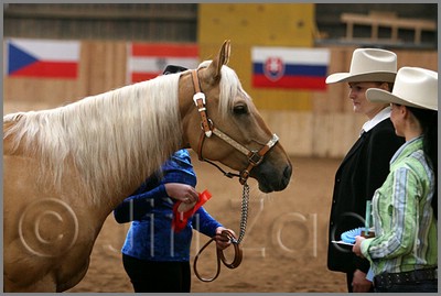 QH061_0182n.jpg (34,9 KB)