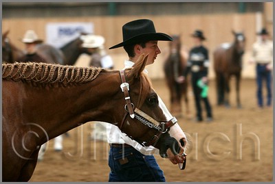 QH061_0183n.jpg (31,3 KB)