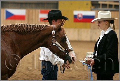 QH061_0185n.jpg (32,9 KB)