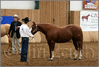 QH061_0190n.jpg (41,3 KB)