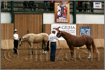 QH061_0192n.jpg (44,6 KB)