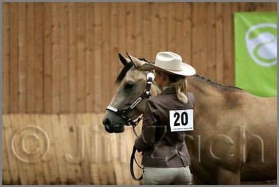 QH061_0193n.jpg (28,4 KB)