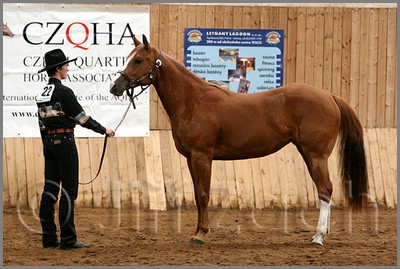 QH061_0195n.jpg (43,8 KB)