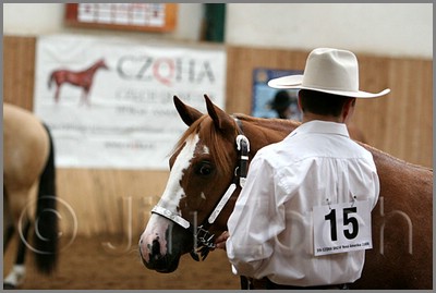 QH061_0196n.jpg (30,5 KB)