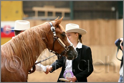QH061_0203n.jpg (33,5 KB)