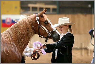 QH061_0204n.jpg (34,1 KB)