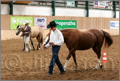 QH061_0207n.jpg (46,2 KB)
