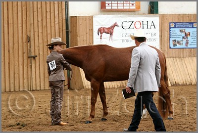 QH061_0209n.jpg (42,8 KB)