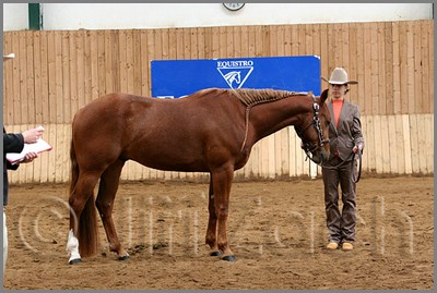 QH061_0210n.jpg (41,3 KB)