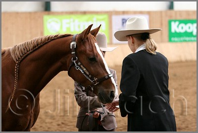 QH061_0212n.jpg (31,0 KB)