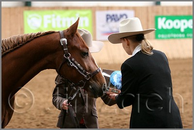 QH061_0213n.jpg (31,9 KB)