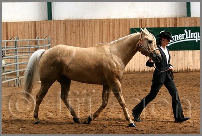 QH061_0218n.jpg (42,3 KB)