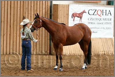 QH061_0220n.jpg (43,5 KB)