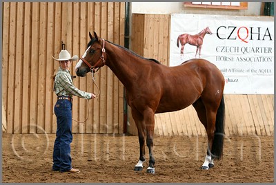 QH061_0221n.jpg (43,4 KB)