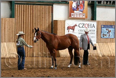 QH061_0222n.jpg (46,9 KB)