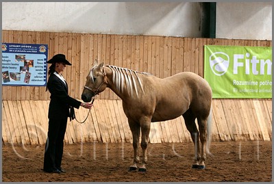 QH061_0223n.jpg (42,4 KB)