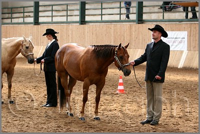 QH061_0227n.jpg (47,8 KB)