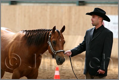 QH061_0229n.jpg (29,2 KB)