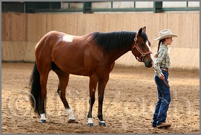 QH061_0230n.jpg (41,1 KB)