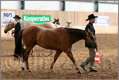 QH061_0231n.jpg (41,8 KB)