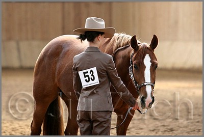 QH061_0235n.jpg (30,6 KB)