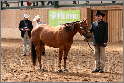 QH061_0237n.jpg (48,6 KB)