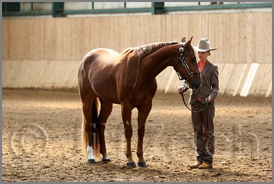 QH061_0240n.jpg (40,5 KB)