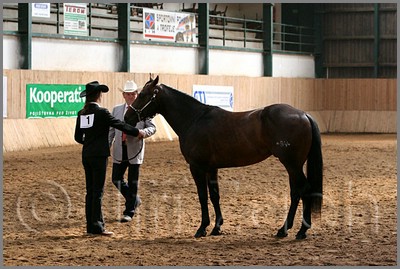 QH061_0241n.jpg (45,2 KB)
