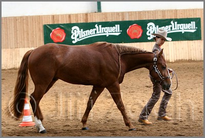 QH061_0245n.jpg (41,1 KB)