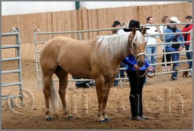 QH061_0247n.jpg (42,8 KB)
