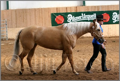 QH061_0249n.jpg (41,6 KB)
