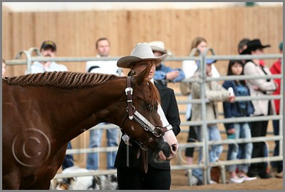 QH061_0253n.jpg (33,8 KB)