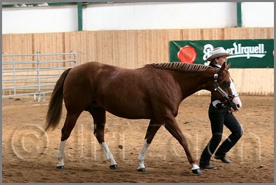 QH061_0254n.jpg (37,0 KB)