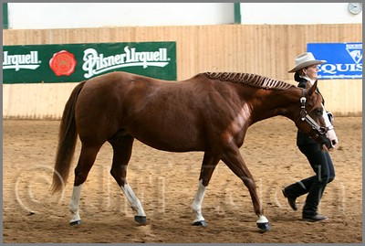 QH061_0255n.jpg (39,2 KB)