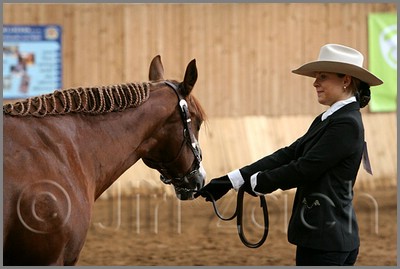 QH061_0257n.jpg (31,0 KB)