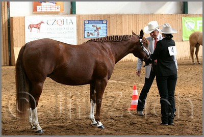 QH061_0258n.jpg (42,4 KB)