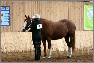 QH061_0259n.jpg (38,3 KB)